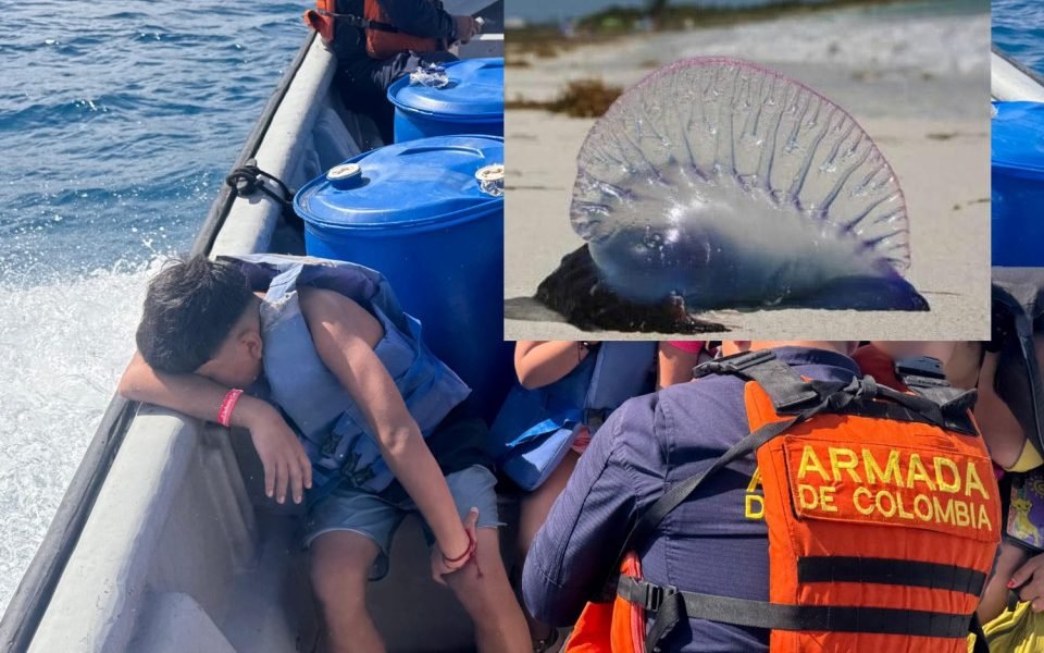 Evacua National Navy Cayo Aquario a un joven turista chileno que tuvo contacto con "Bad Water" o Portuguese Fregate - Extra
