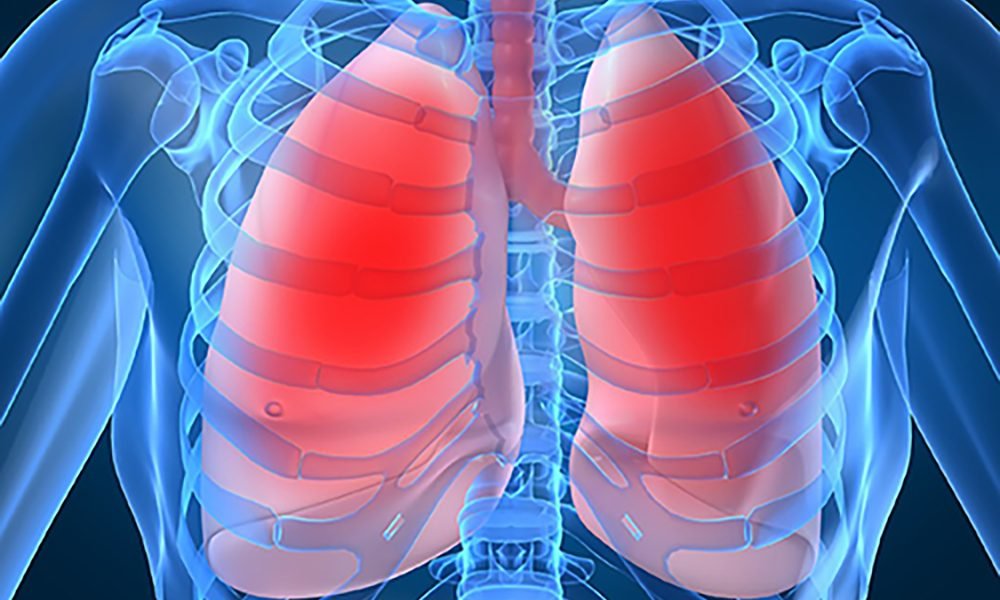 Cómo funcionan los pulmones