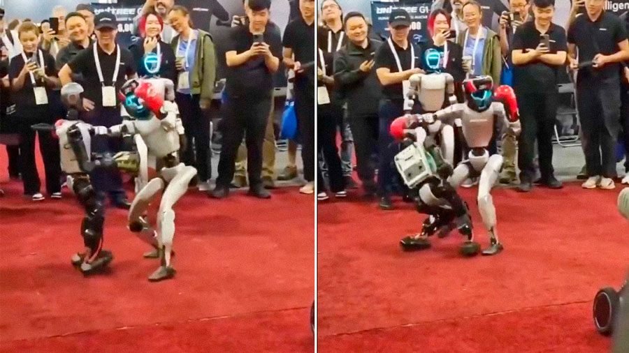 Emocionante pelea de dos robots termina con un inesperado nocaut