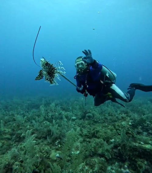 Armada Nacional y Lion Fish Expedition realizaron primera jornada de control de pez león en Providencia