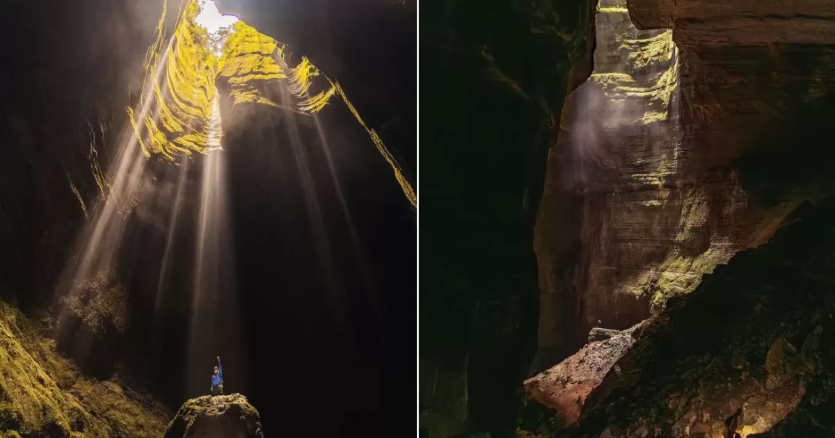 El BOSQUE en SANTANDER que parece de otro PLANETA