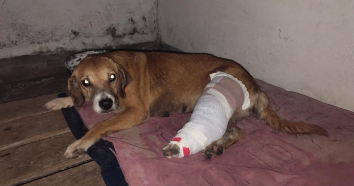 Primera captura en Cundinamarca por LEY ANGEL