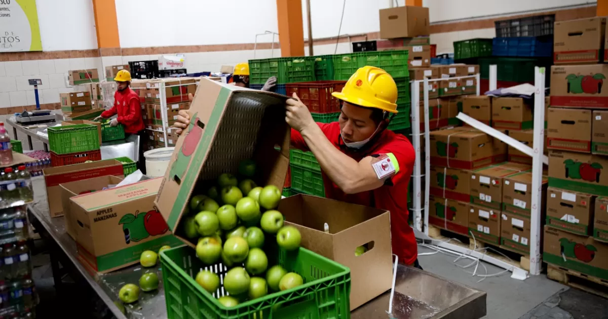 Colombia: un año de la Ley de Donación de Alimentos