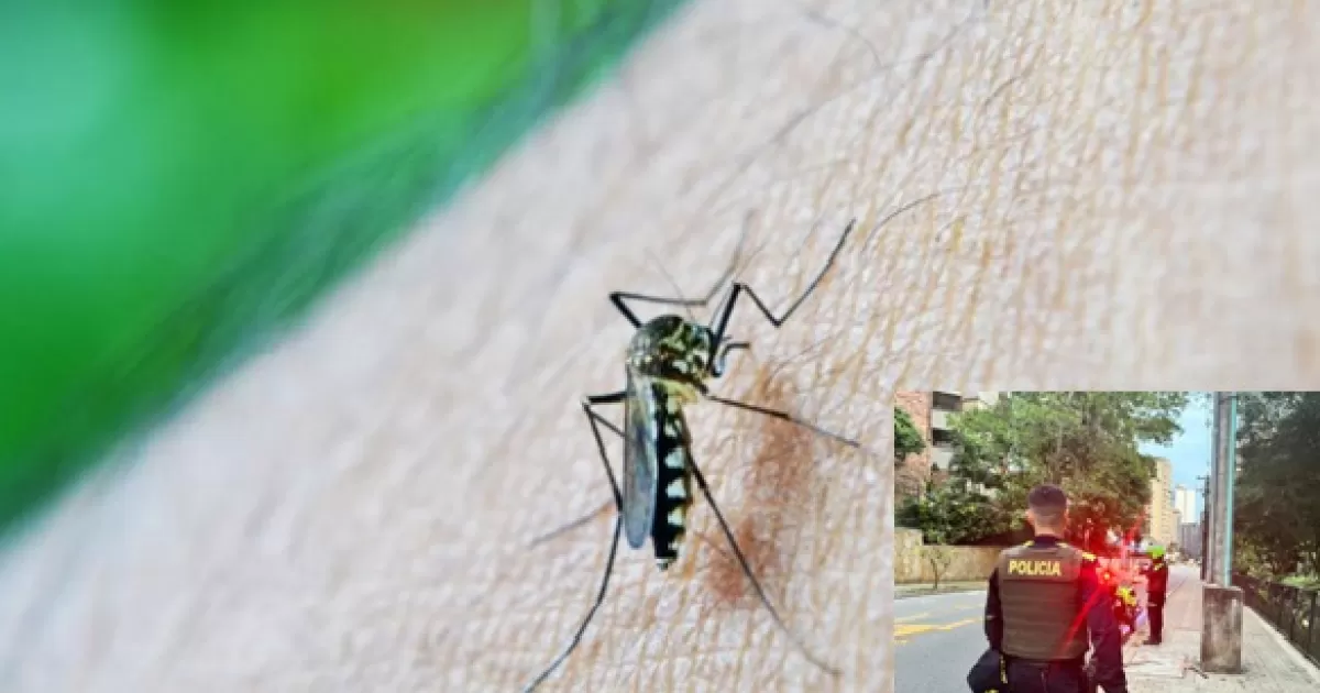 Dengue en Colombia: 91.053 casos y 251 muertes