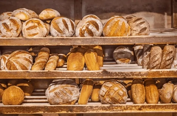 Salud Gluten: Veneno moderno por poner al cerebro en riesgo
