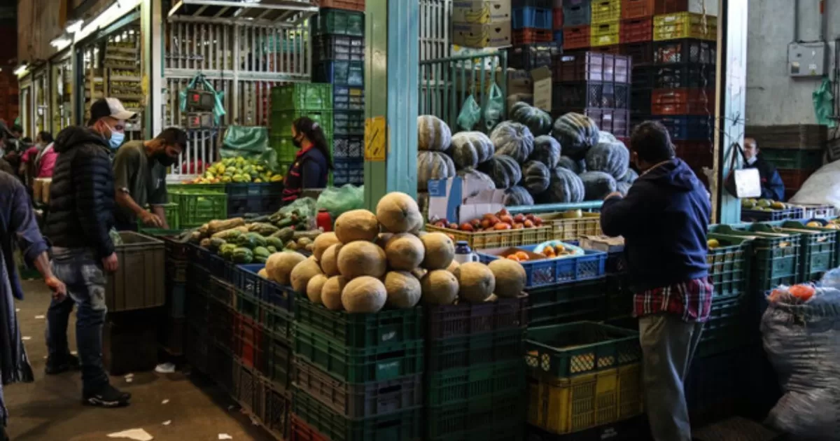 Productores de papa advierten POSIBLE PARO por pérdidas