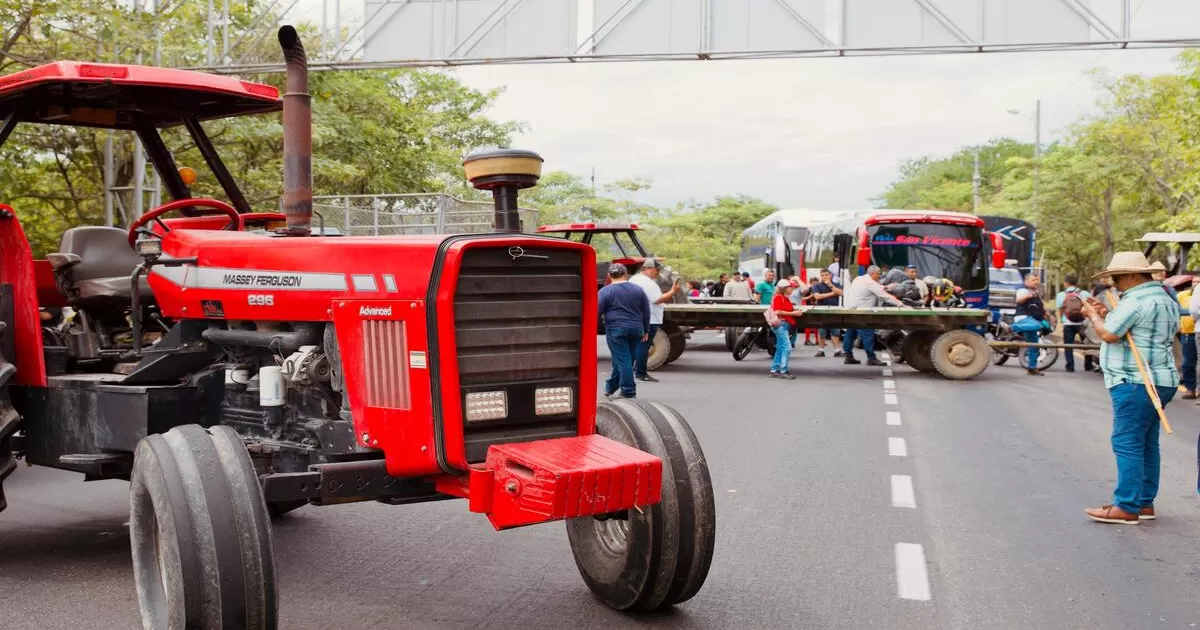 Sector arrocero enfrenta nuevos desafíos, según Induarroz