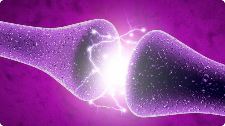 Crean neuronas artificiales que funcionan como las reales